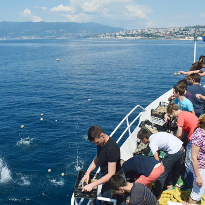 Bild zeigt Menschen die EM Dangos ins Mittelmeer werfen.