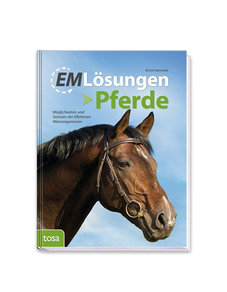 Image sur EM Lösungen - Pferde